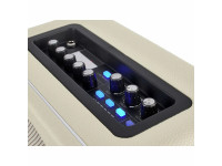 Mooer Hornet Modelling Combo WH Mooer Hornet Modelling Combo WH